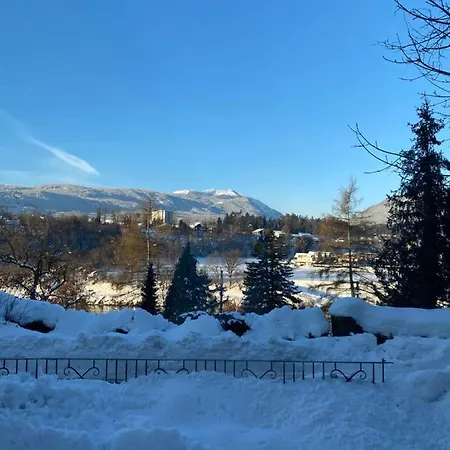 Petrabunt Villach