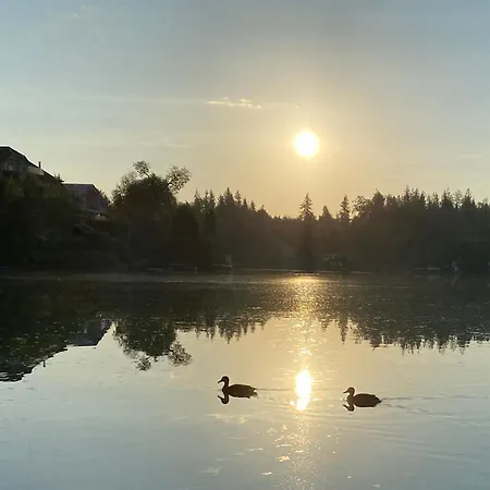 Lejlighed Petrabunt *