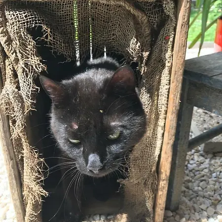 Appartement Petrabunt