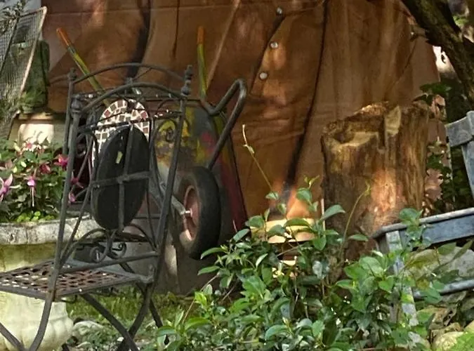 Apartment Petrabunt *