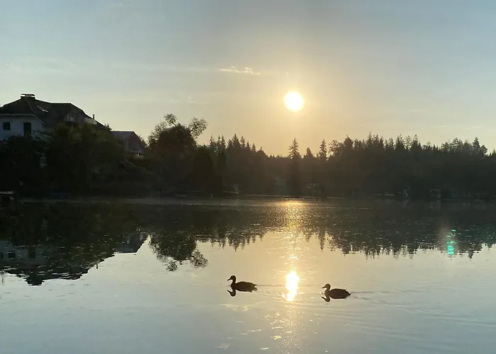 Lejlighed Petrabunt *